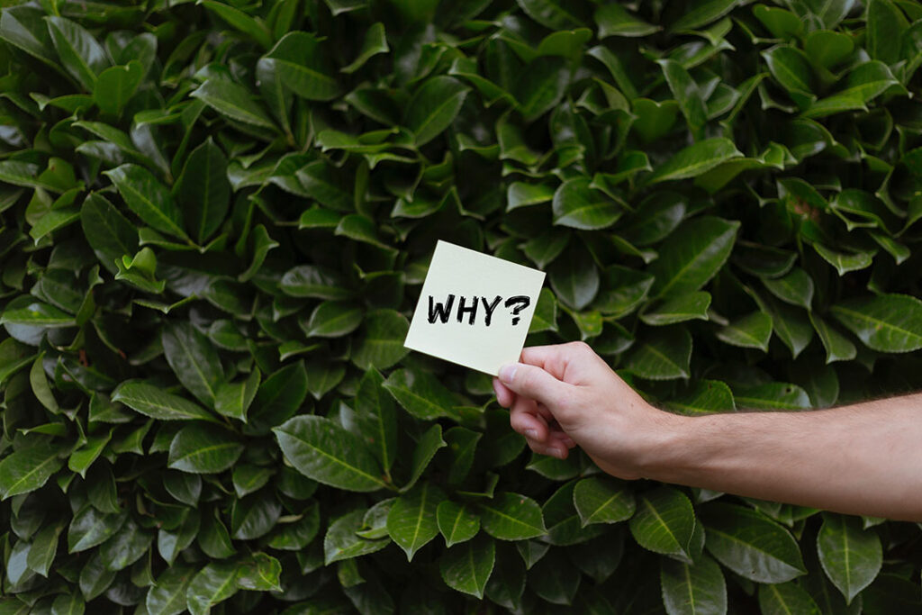 Reasons Why You Are Stuck in Debt